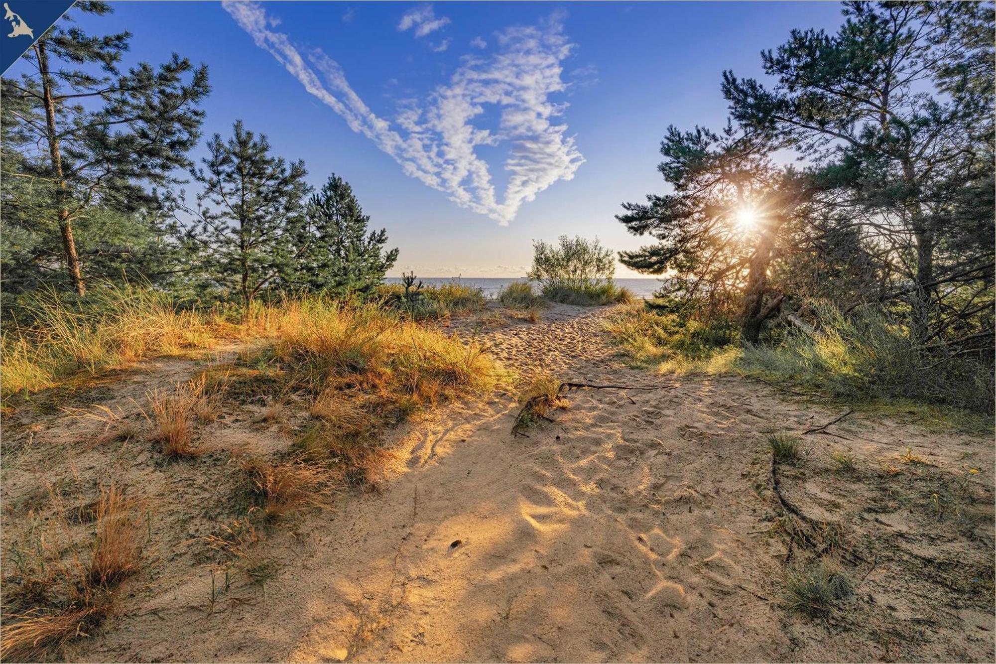 Nur 100M Zum Strand Fewo Seebrise 109 By Pro Home Appartements Zempin Dış mekan fotoğraf